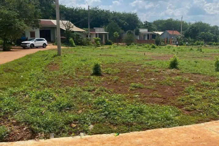 Bán Đất Chính Chủ Tân Hưng – Giá Chỉ 3xx Triệu