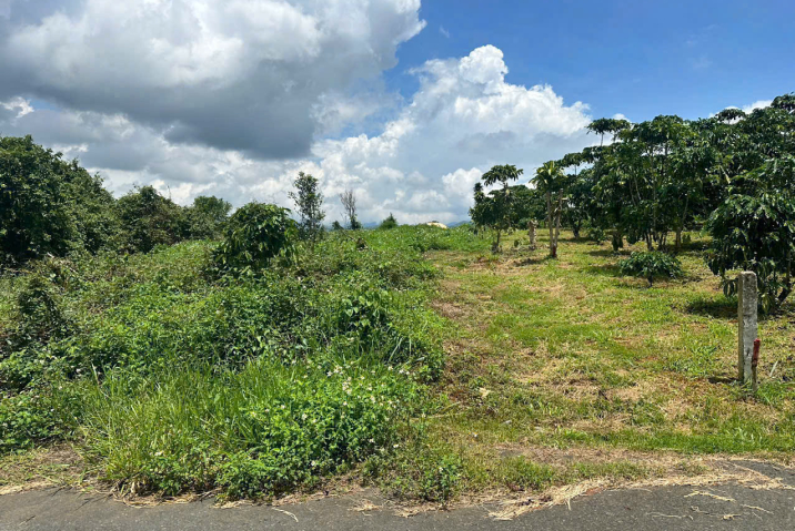 Bán Đất Mặt Tiền Nguyễn Trãi P2 Bảo Lộc – Giá 3 Tỷ