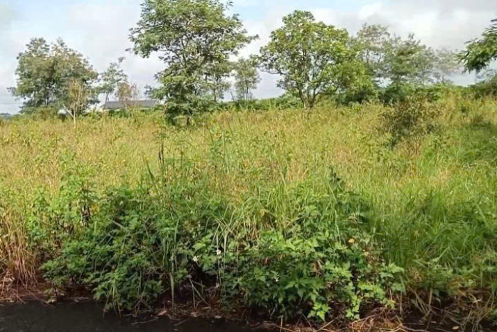 Bán Đất ĐamB’ri, Bảo Lộc  – Giá 1,27 Tỷ