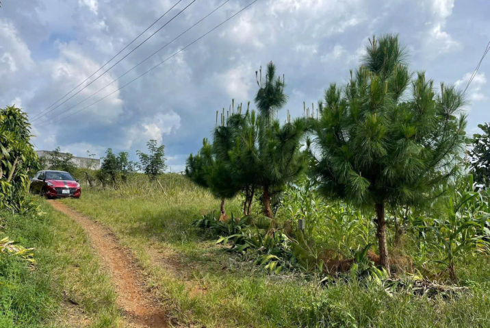 Mua Đất Bảo Lộc Lâm Đồng – Lộc An, Giá 2,8 Tỷ/1 Lô