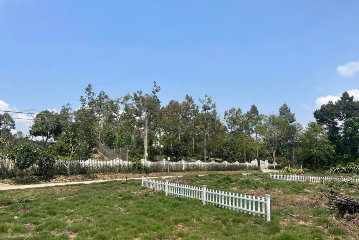 Mua Đất Bảo Lộc Lâm Đồng  –  Giá 1 Tỷ 650