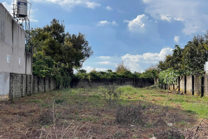 Mua Đất Bảo Lộc Lâm Đồng – Lộc Nga, Giá 3 Tỷ