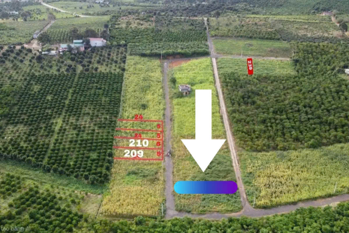 Mua Đất Nền Bảo Lộc Lâm Đồng – Lộc An, Bảo Lâm, Giá 400 Triệu