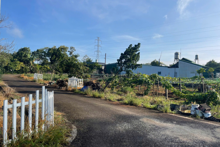 Mua Đất Nền Bảo Lộc Lâm Đồng – Nền Biệt Thự Lộc Sơn, Giá Tốt