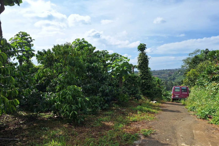 Mua đất ở Bảo Lộc  –  Giá 2,7 Tỷ