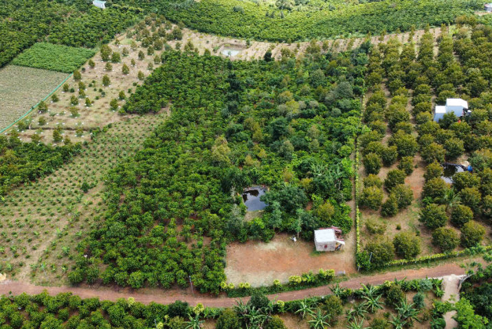 mua đất đồi bảo lộc – bán 8.000m² tứ quý lộc an