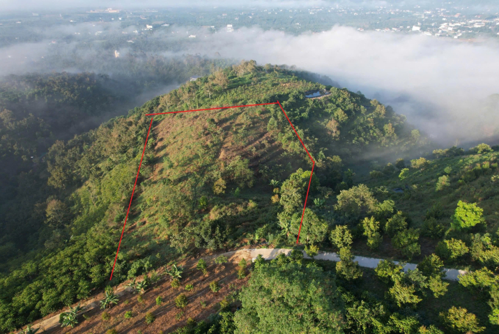 Mua đất nhà vườn Bảo Lộc - giá 520 triệu/sào