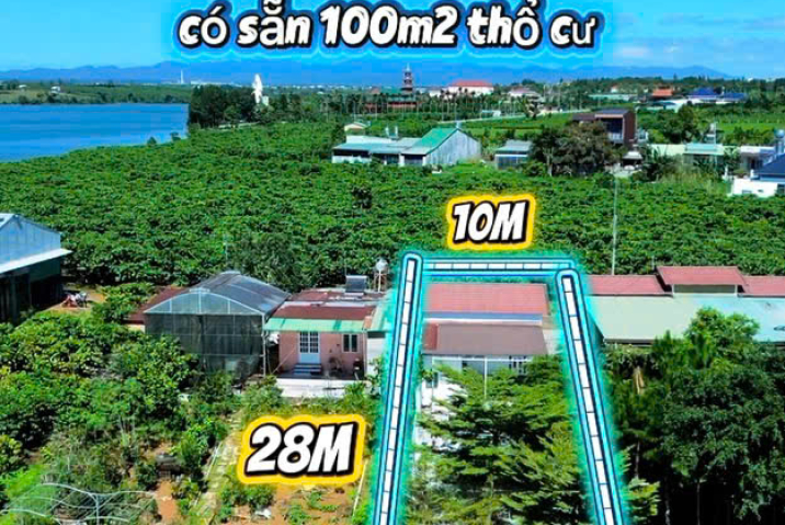 Mua đất nhà vườn Bảo Lộc –  giá 4 tỷ