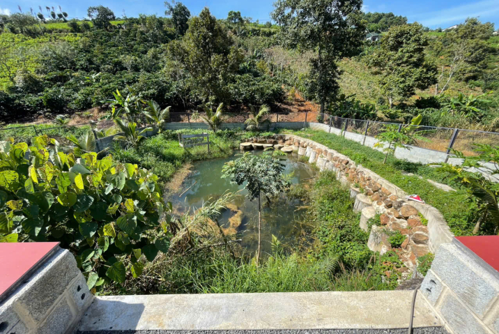 Mua đất nhà vườn Bảo Lộc – nhà vườn phường 2 hẻm lý thái tổ có sẵn thổ cư