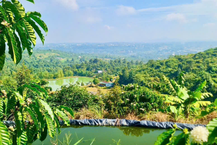 Mua đất nền Bảo Lộc giá rẻ – đất hẻm Chi Lăng, Lộc Thành, view đẹp