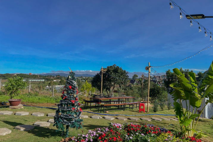 Mua đất nền Bảo Lộc giá rẻ – Phường 2, view đẹp, gần trung tâm, chỉ 1,55 tỷ