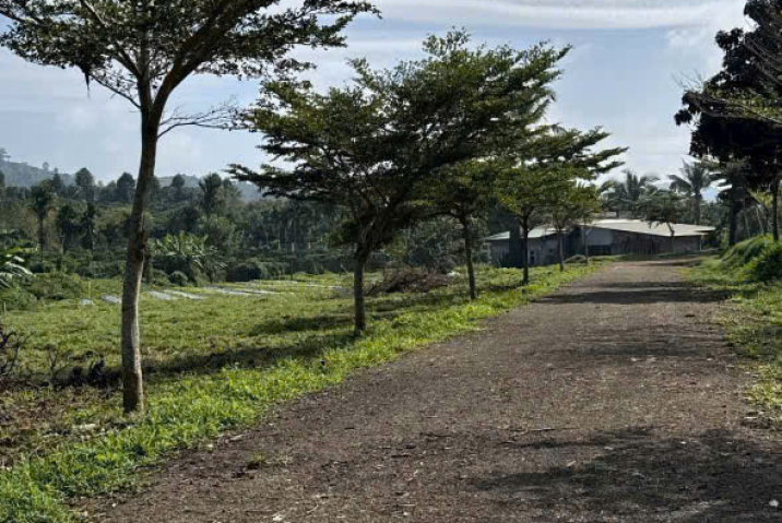 Mua đất nền Bảo Lộc giá rẻ – Thôn 16 Lộc Thành, gần Quốc lộ 55