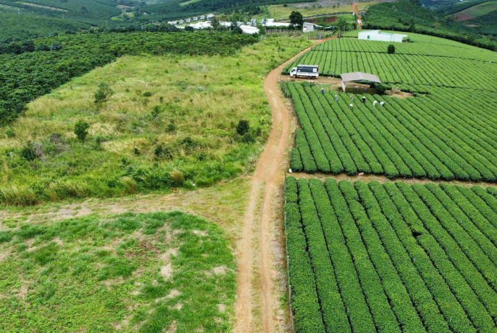 Mua đất nền giá rẻ Bảo Lộc – chỉ 1 triệu/m²