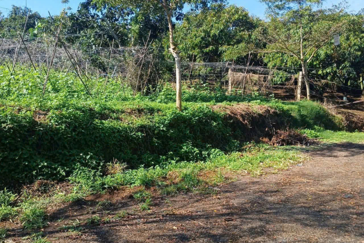 Mua đất nền giá rẻ Bảo Lộc – đất Thôn 16 Lộc Thành, Bảo Lâm – giá từ 530 triệu