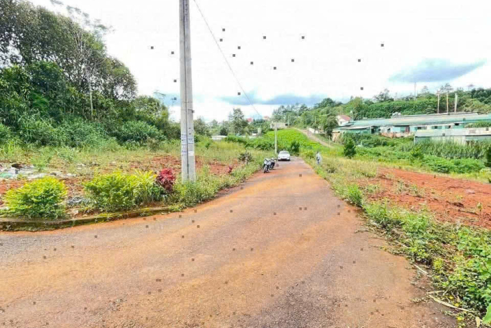 Mua đất thổ cư Bảo Lộc – hẻm nhựa 360 Phan Đình Phùng, Phường 2, giá 1,19 tỷ