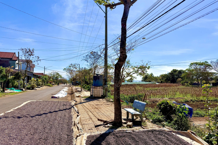 Mua đất thổ cư Bảo Lộc giá rẻ