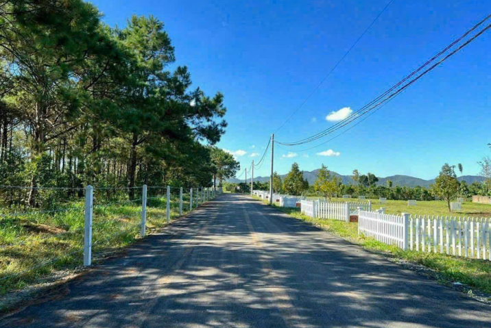 Mua đất thổ cư Bảo Lộc giá rẻ – giá 2,5 tỷ