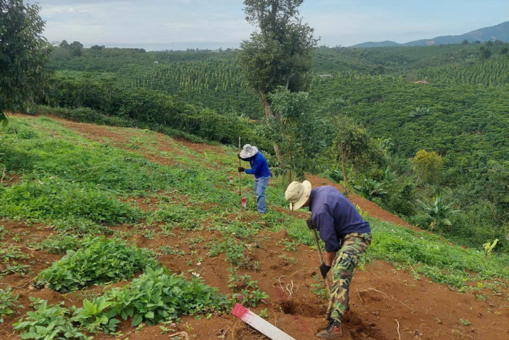 Đất sẵn thổ cư giá rẻ Bảo Lộc – giá chỉ 2,3 triệu/m²