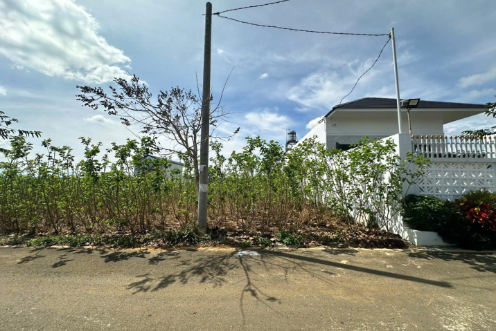 Mua đất thổ cư ngay trung tâm Bảo Lộc – Khu cối xay gió Lộc An, gần QL20