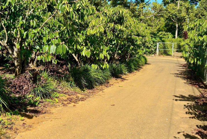 Mua đất nền giá rẻ Bảo Lộc – quỹ đất lớn trung tâm Phường 3