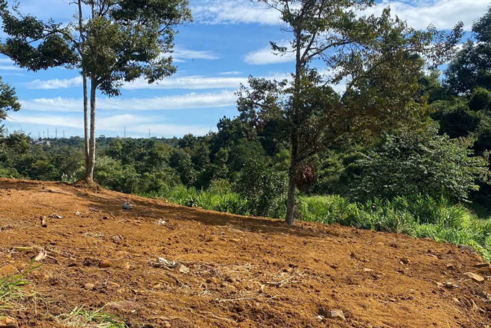 Đất vườn giá rẻ Bảo Lộc – mặt tiền Chi Lăng, Lộc Thành giáp Lộc Sơn