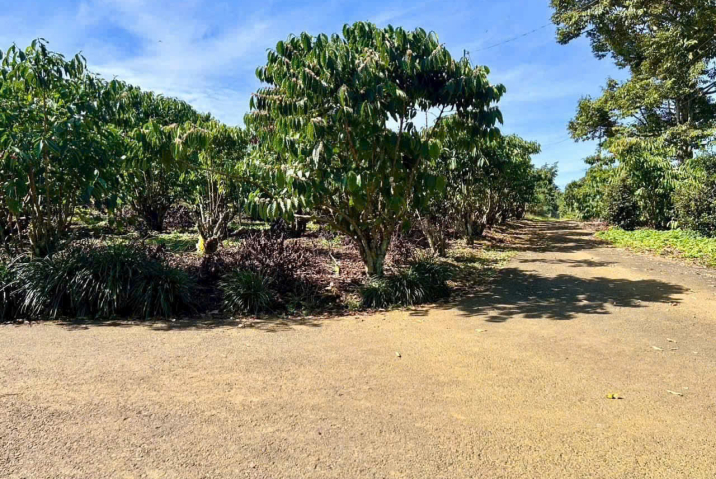 Mua đất thổ cư trung tâm Bảo Lộc – Hẻm 480 Phan Đình Phùng, Lộc Tiến