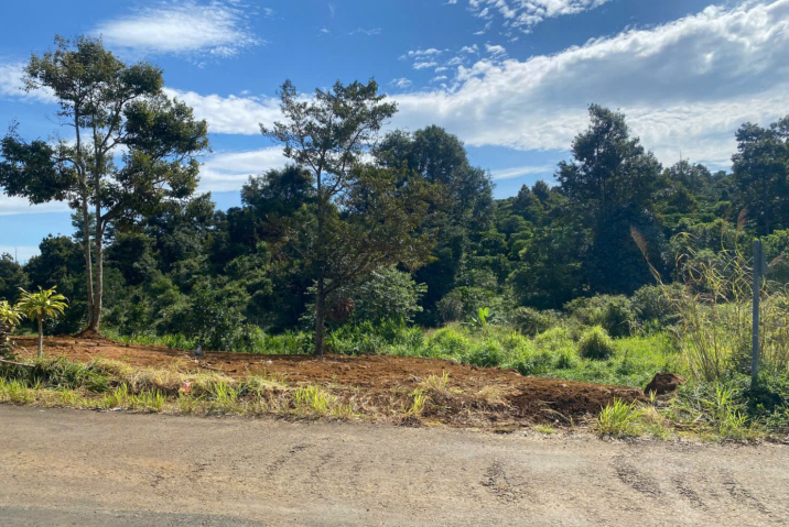 Mua đất giá rẻ tại Bảo Lộc – Mặt tiền Chi Lăng, Lộc Thành giáp Lộc Sơn