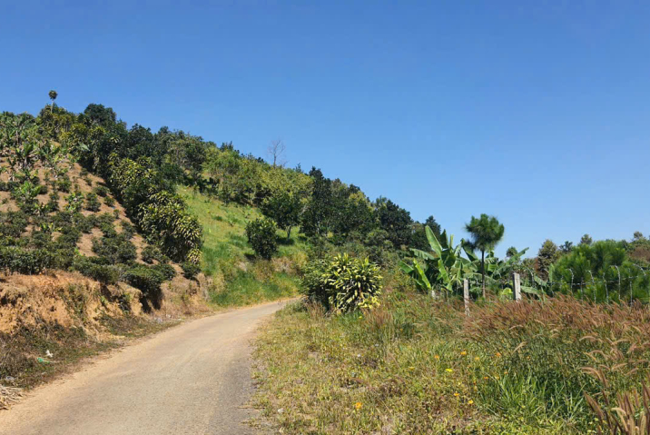 Mua đất giá rẻ tại Bảo Lộc – 2 sào mặt tiền, view thoáng