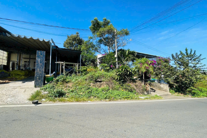 Mua đất giá rẻ tại Bảo Lộc – mặt tiền Cao Thắng