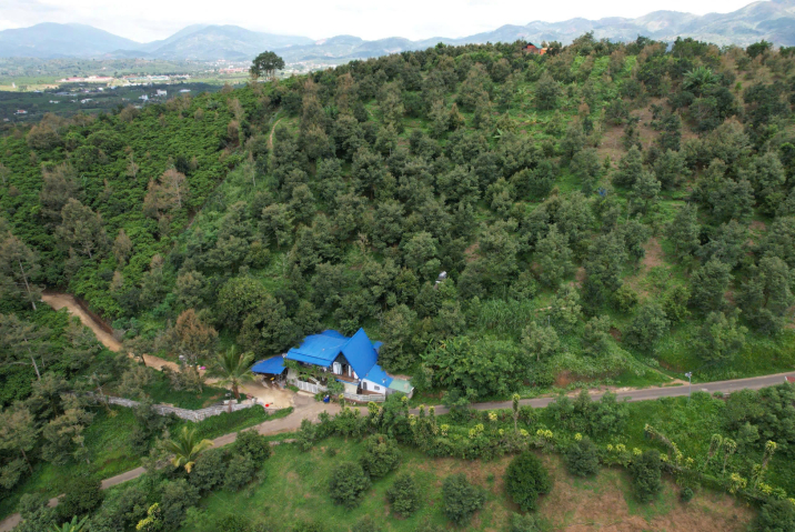 Mua đất giá rẻ tại Bảo Lộc – tặng nhà mới + vườn sầu riêng đang thu