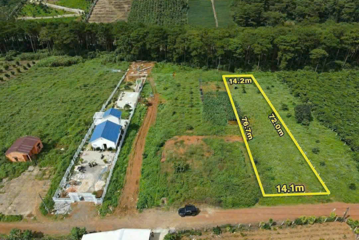 Mua đất nền trung tâm Bảo Lộc – lô đất nghỉ dưỡng P.2 giáp rừng thông