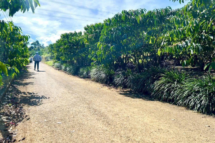 Đất Bảo Lộc dưới 1 tỷ giá rẻ – hẻm 480 Phan Đình Phùng, Lộc Tiến