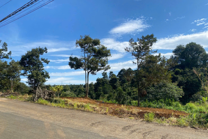 Đất Bảo Lộc dưới 1 tỷ giá rẻ – mặt tiền Chi Lăng, Lộc Thành giáp Lộc Sơn