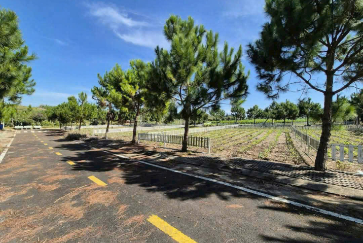 Đất Bảo Lộc dưới 1 tỷ giá rẻ – gần nút giao cao tốc, hẻm Lý Thái Tổ P.2