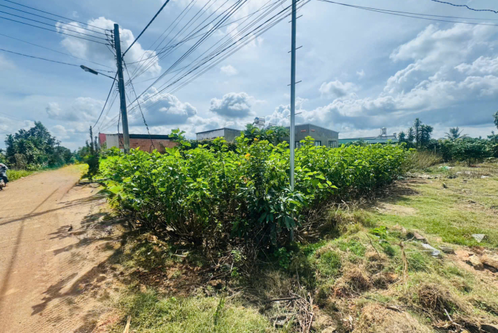 Đất nền Bảo Lộc dưới 1 tỷ theo định hướng quy hoạch 