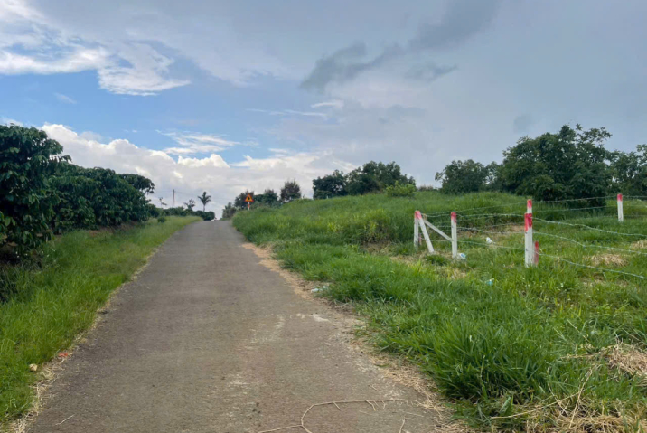 Đất nền giá rẻ ngay trung tâm Bảo Lộc – Lô đất Lộc An Bảo Lâm giá tốt trước Tết