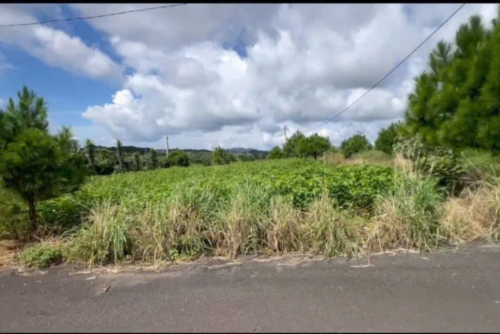 Đất trung tâm Bảo Lộc dưới 1 tỷ – Lô mặt tiền trung tâm y tế Lân Lạc, bán ngộp trước Tết