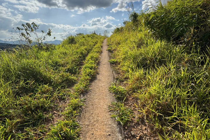 Đất rẻ sẵn thổ cư trung tâm Bảo Lộc – lô đất gần 1,2 sào sát các quán cà phê nổi tiếng