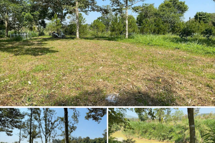 Đất nền sẵn thổ cư trung tâm Bảo Lộc – hẻm Chi Lăng, khu nghỉ dưỡng yên tĩnh