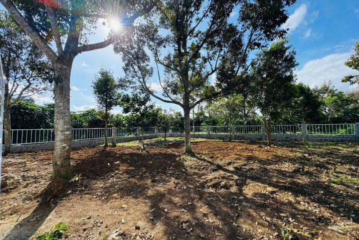 Đất nền giá rẻ tại Bảo Lộc – Lô góc 2 mặt tiền Lộc Nga, sẵn 299m² thổ cư