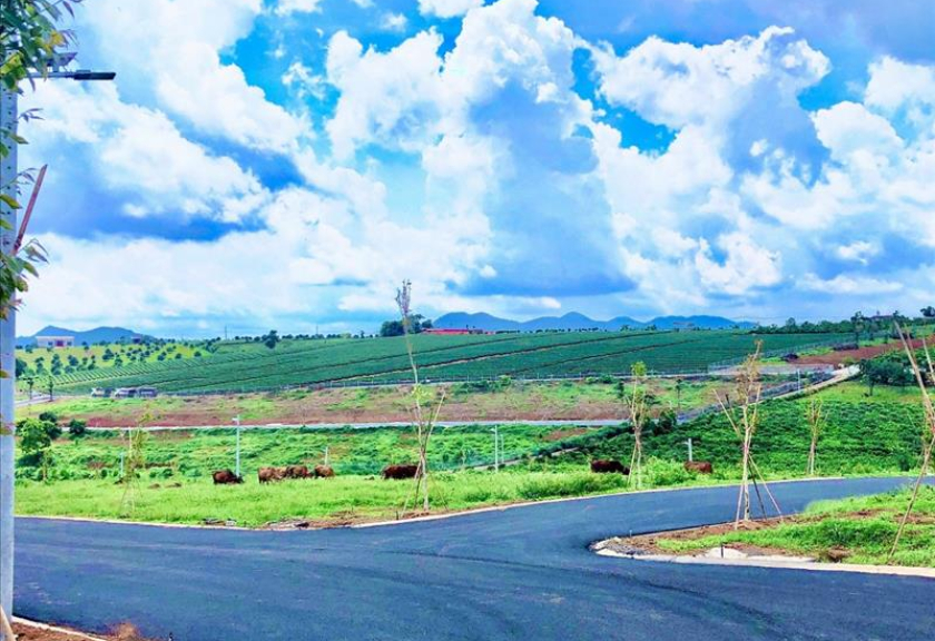 Đất thổ cư Bảo Lộc: 5 điều bạn cần biết trước khi quyết định