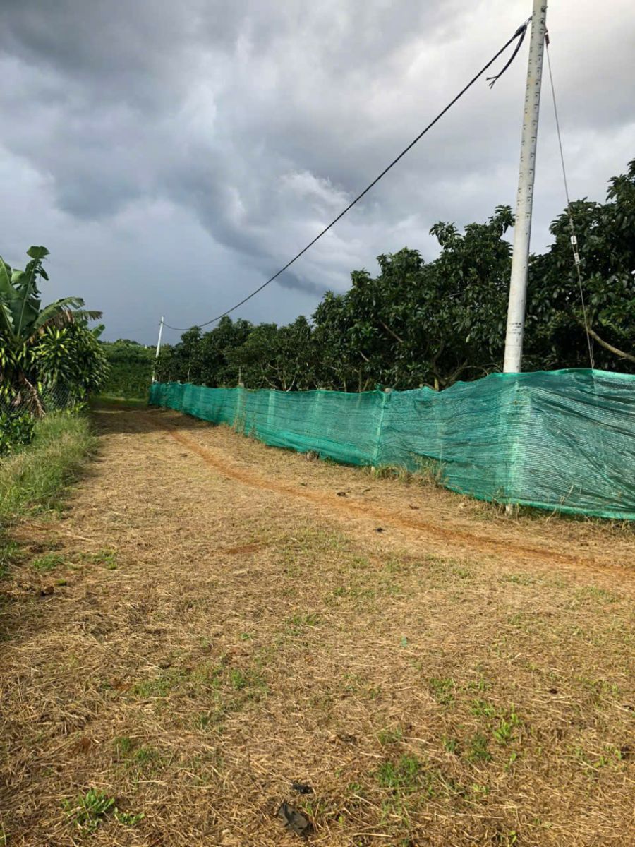 Đất Bảo Lộc