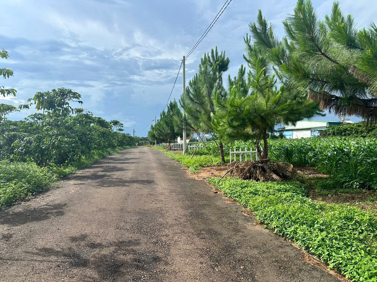Đất Bảo Lộc