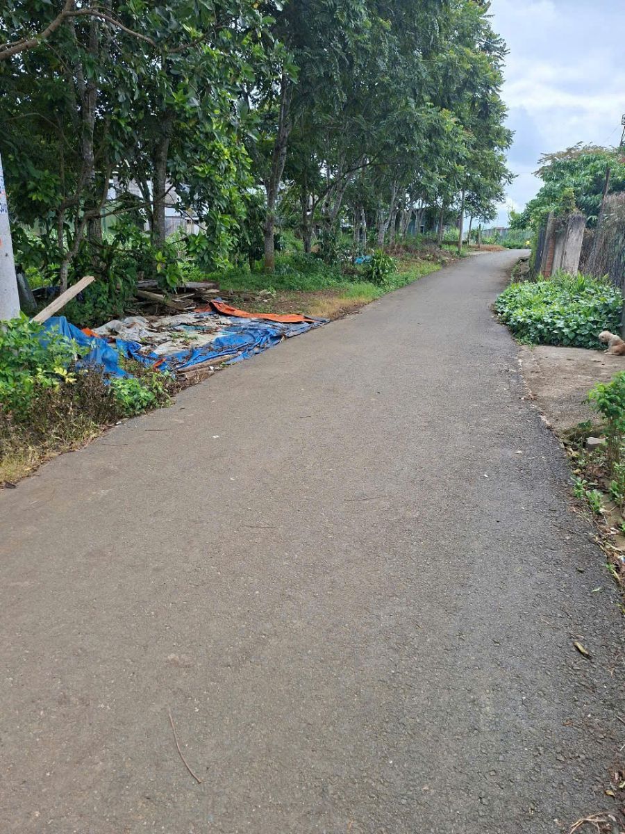 Hình ảnh đất nên Bảo Lộc
