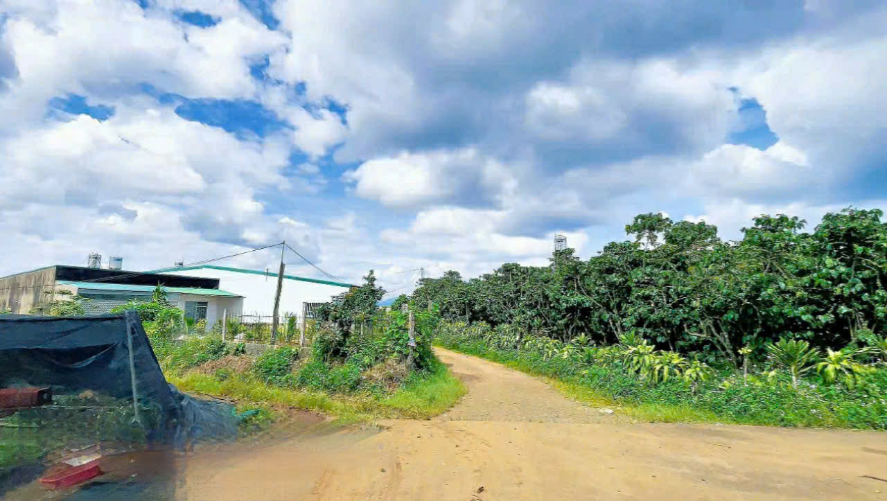 Đất Bảo Lộc