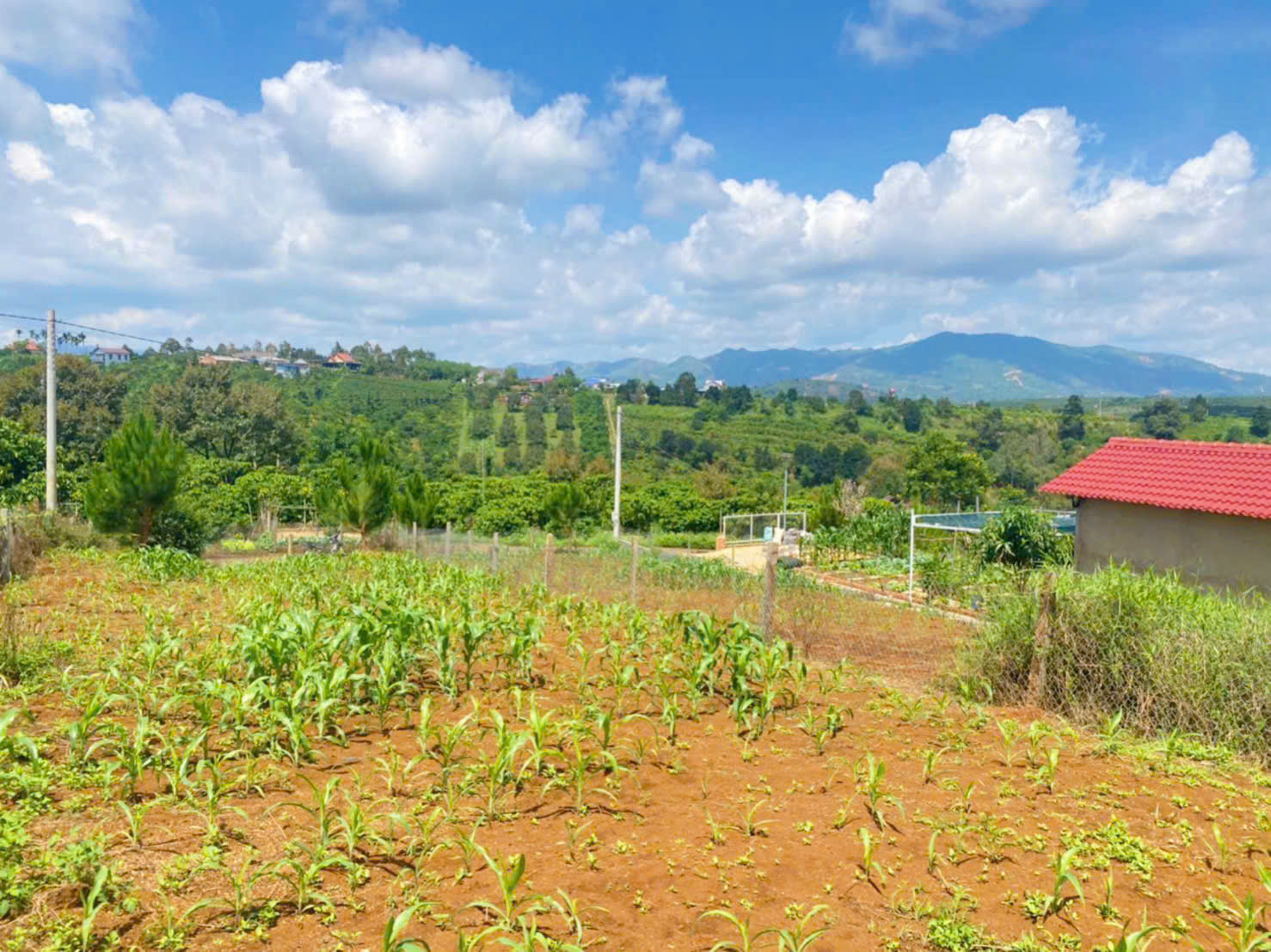 Đất Bảo Lộc