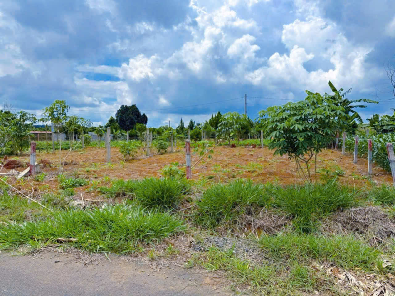 Đất Bảo Lộc