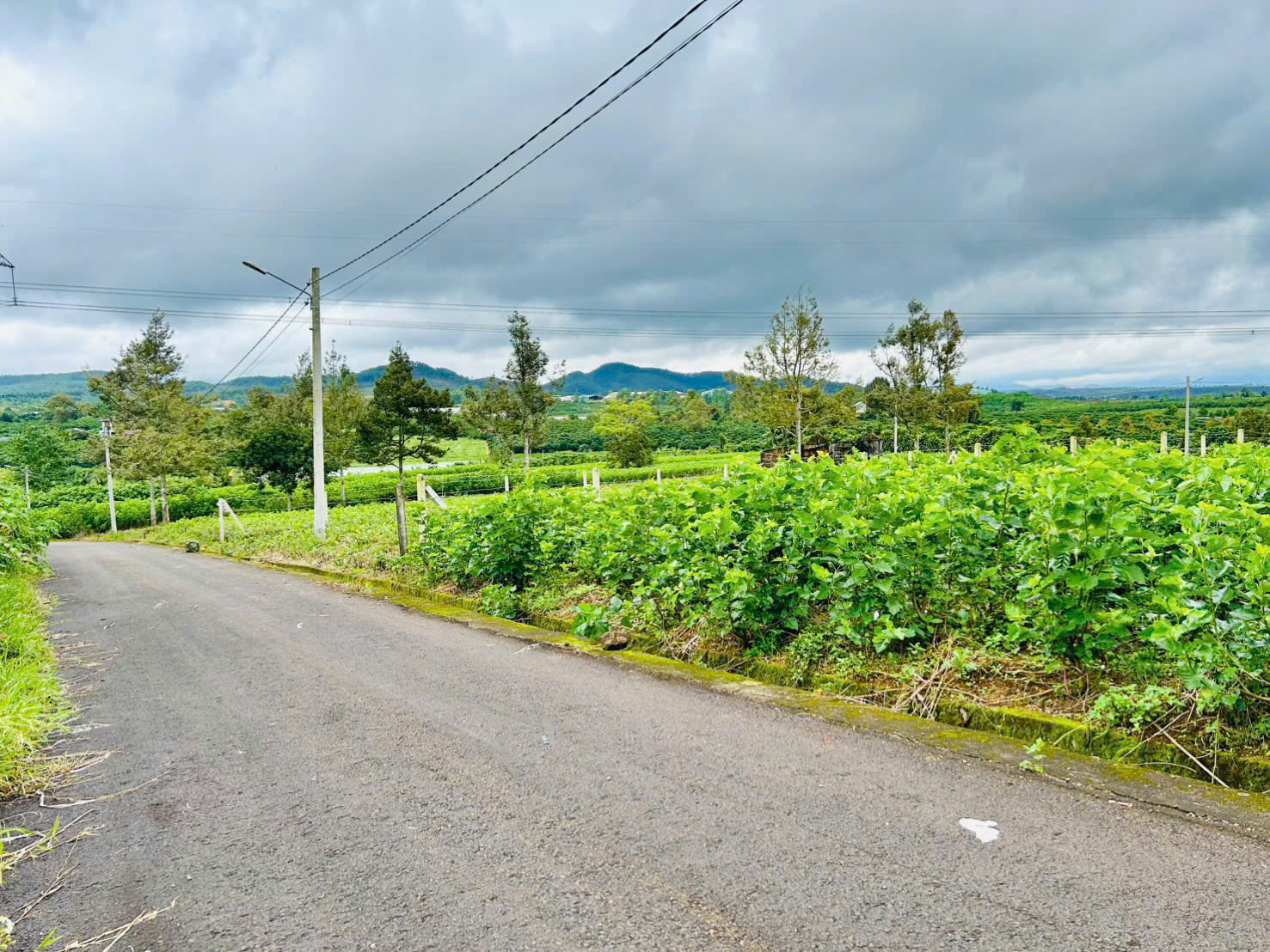 Đất Bảo Lộc