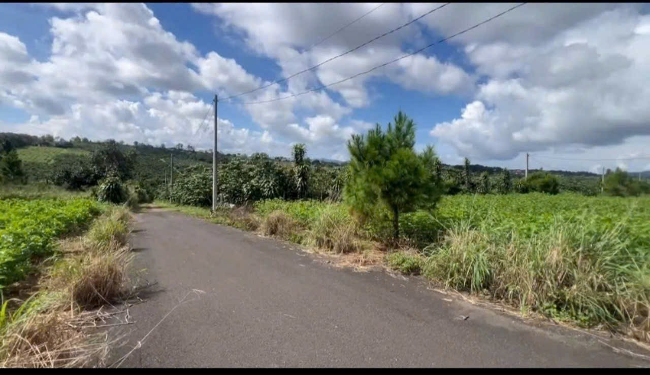 Đất Nền bảo Lộc