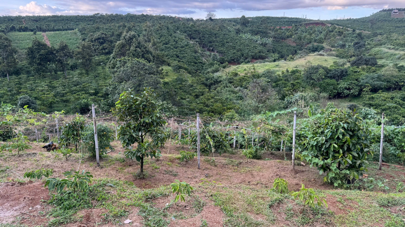 Đất Nền Bảo Lộc